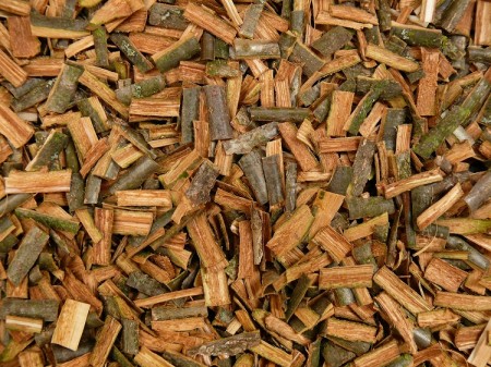 Sušená dubová kôra (Cortex quercus)